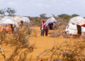 소말리아 대기근 10년 만에 다시?…갓난아기들이 죽어가고 있다