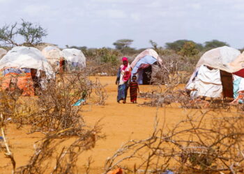 소말리아 대기근 10년 만에 다시?…갓난아기들이 죽어가고 있다