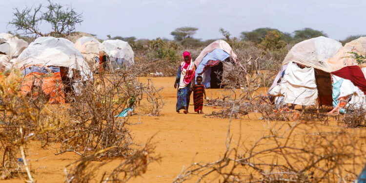 소말리아 대기근 10년 만에 다시?…갓난아기들이 죽어가고 있다