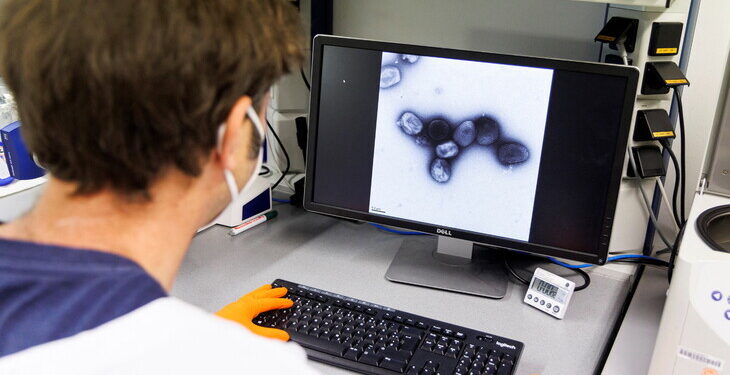 세계보건기구, 원숭이두창 경계 촉구 “통제 가능하지만 감염 늘 것”