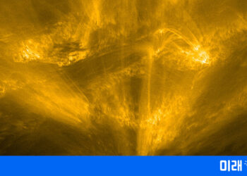 이제껏 본 적 없는 태양 활동 모습이 찍혔다