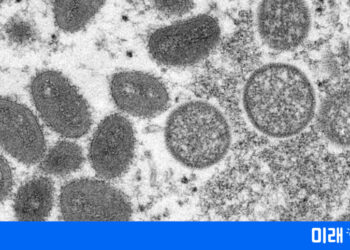 여행 풀렸는데 ‘원숭이두창’ 세계 확산…팬데믹 될 가능성은?