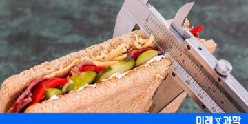 소식이 장수 비결이라지만, 아무때나 먹어서야…