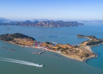 전남서 국제청년 섬 워크캠프…‘전남 섬 가치’ 확산-국민일보