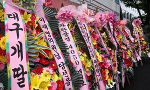 팬덤의 종결판 ‘개딸’ 들 반란에 민주당 흔들