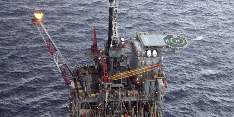 미국·중남미 : 국제 : 뉴스 : 한겨레