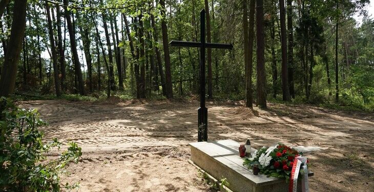 ‘8천명 희생’ 나치 학살 매장지 80년 만에 발견