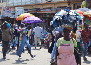 치명률 24~88% ‘마르부르크 바이러스’…가나서 두명 사망