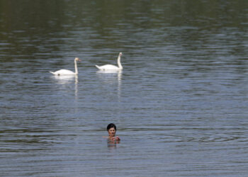 동진하는 열돔… 서유럽 이어 동유럽 덮친 폭염