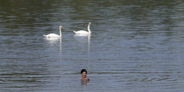 동진하는 열돔… 서유럽 이어 동유럽 덮친 폭염