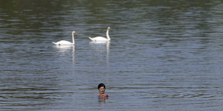동진하는 열돔… 서유럽 이어 동유럽 덮친 폭염
