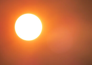 ‘40도 열돔’ 화상 입은 유럽…“40년 넘게 간다, 이런 폭염”