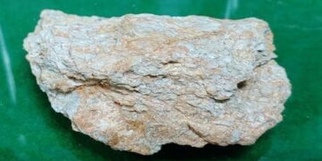 통통 지역경제 신비의 광물 일라이트…영동군 100년 먹거리 될까