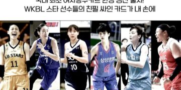 여자프로농구 한정판 스포츠카드 출시 – 파이낸셜뉴스