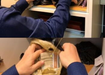 고침 경제국세청 악성 세금체납자 특별정리 돌입…