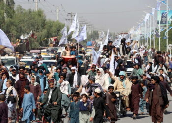 친텔레반 성직자 겨냥한 아프간 테러 또…최소 18명 사망