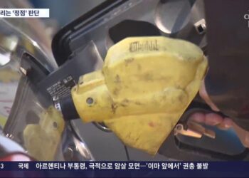 '정점 찍었다' vs '지켜봐야'…물가 향방, 국제유가·농산물에 달렸다 – TV조선