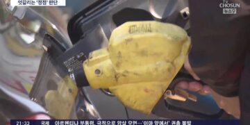 '정점 찍었다' vs '지켜봐야'…물가 향방, 국제유가·농산물에 달렸다 – TV조선