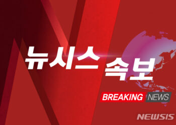 [속보]경제수석 "통화스화프 한미 공통 관심사…정상간 논의할듯" – 뉴시스