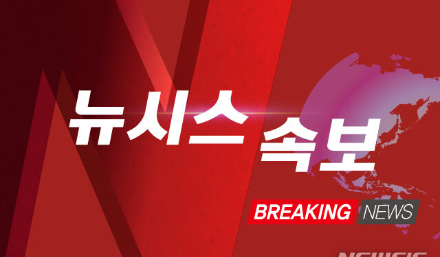 [속보]경제수석 "통화스화프 한미 공통 관심사…정상간 논의할듯" – 뉴시스