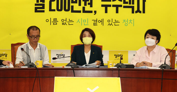 정의당, 정기당대회 개최…이은주 “진보정치 새롭게 시작” :: 공감언론 뉴시스통신사 ::