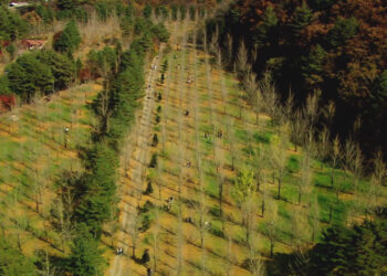 [사회]깊어지는 가을…울긋불긋 단풍으로 덮인 설악산