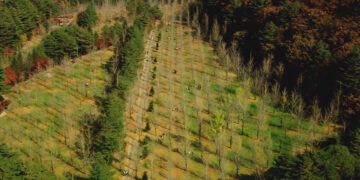 [사회]깊어지는 가을…울긋불긋 단풍으로 덮인 설악산