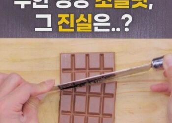 THISCovery]먹어도 줄지 않는 초콜릿이 있다?! : 사회일반 : 사회 : 뉴스 : 한겨레