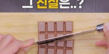 THISCovery]먹어도 줄지 않는 초콜릿이 있다?! : 사회일반 : 사회 : 뉴스 : 한겨레