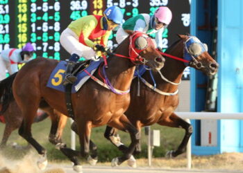 단거리 최강馬 ‘어마어마’ 국제신문배 우승 : 국제신문