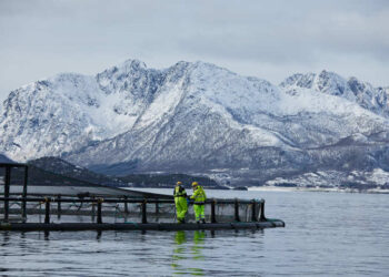 12개 노르웨이 수산업체, 부산국제수산물엑스포 참가 :: 공감언론 뉴시스통신사 ::
