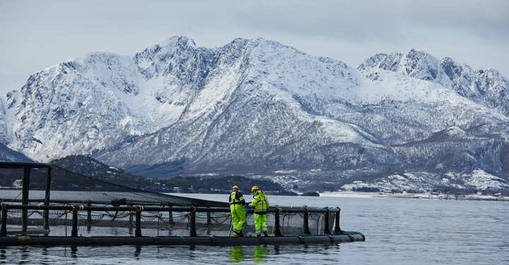 12개 노르웨이 수산업체, 부산국제수산물엑스포 참가 :: 공감언론 뉴시스통신사 ::