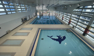 음성군 맹동혁신 국민체육센터, 수영장 시범 운영 < 스포츠 < 스포츠·연예 < 기사본문 - 중부매일