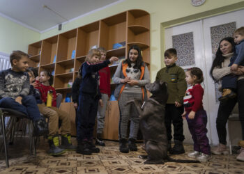 심리 치료견이 꼬리 흔들자 우크라 아이들의 얼굴이 빛났다