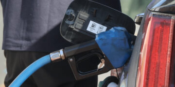 ³»ÀÏºÎÅÍ ÈÖ¹ßÀ¯ À¯·ù¼¼ L´ç 99¿ø ¿À¸¥´Ù :: ¹®È­ÀÏº¸