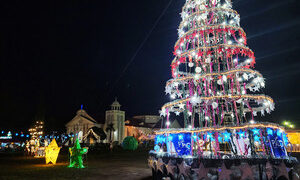 [국제포토] 보홀 성 어거스틴 성당 크리스마스 트리 < 포토뉴스 < 여행 < 문화 < 기사본문