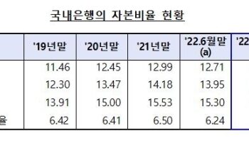 3분기 국내은행 BIS 비율 1484전분기대비 046p