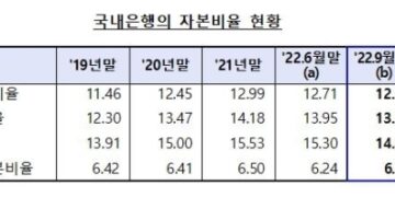 3분기 국내은행 BIS 비율 1484전분기대비 046p