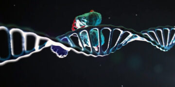 [과학]목표 유전자 ‘싹둑’ 유전자 가위 치료제 상용화 임박…첫 치료제는?