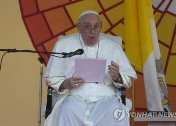 고침 국제프란치스코 교황 아프리카의 목 더이상 조르…