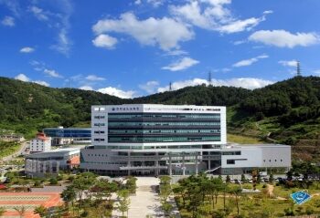 전남교육청, 초등(특수)학교 스포츠지도사 동계 연수 – 교육연합신문