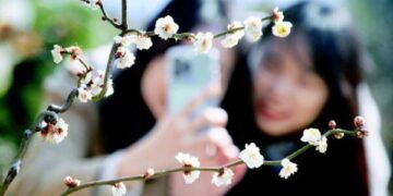 봄꽃 소식 들려오는데… 경제는 계속 한겨울