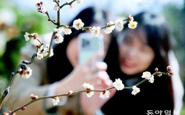 봄꽃 소식 들려오는데… 경제는 계속 한겨울