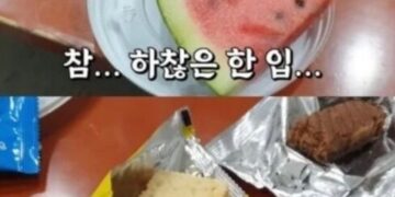 '한입 먹고 식사 끝' 나도 해볼까?…'소식좌' 유행의 그늘 – 한겨레