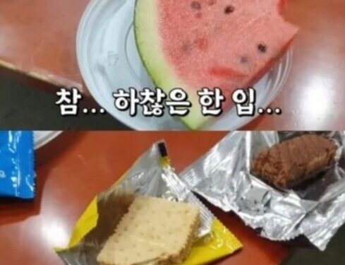 '한입 먹고 식사 끝' 나도 해볼까?…'소식좌' 유행의 그늘 – 한겨레