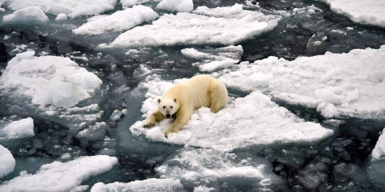 건조한 북극에 세찬 비가 55분 내렸다…온난화 또 경고