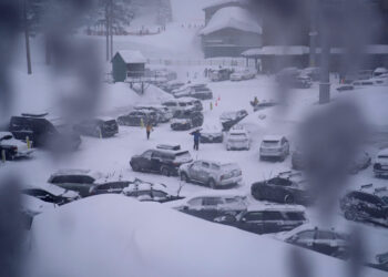 캘리포니아 34년 만에 눈보라…LA ‘할리우드’ 간판도 눈발 세례