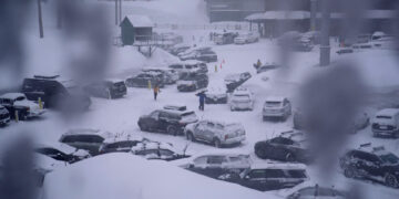 캘리포니아 34년 만에 눈보라…LA ‘할리우드’ 간판도 눈발 세례