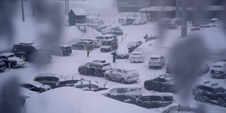 캘리포니아 34년 만에 눈보라…LA ‘할리우드’ 간판도 눈발 세례