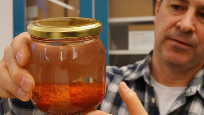 500년 전 왕실 난파선 속 사프란·후추, 먹을 수 있을까?